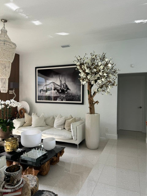 Brillant Beige St. Tropez Pot avec Personnalisé Made Magnolia Arbre