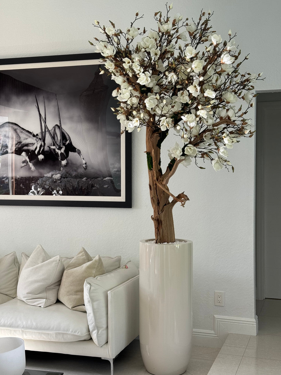 Brillant Beige St. Tropez Pot avec Personnalisé Made Magnolia Arbre