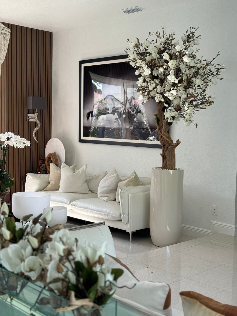 244 Cm Blanc Magnolia Arbre en Brillant Beige St. Tropez Pot