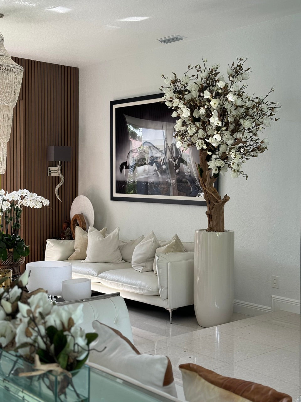 244 Cm Blanc Magnolia Arbre en Brillant Beige St. Tropez Pot