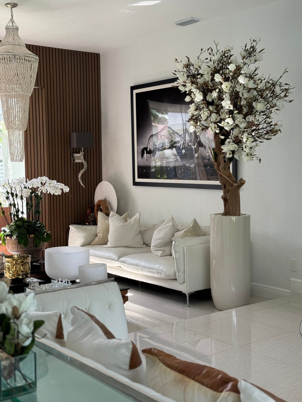 244 Cm Blanc Magnolia Arbre en Brillant Beige St. Tropez Pot