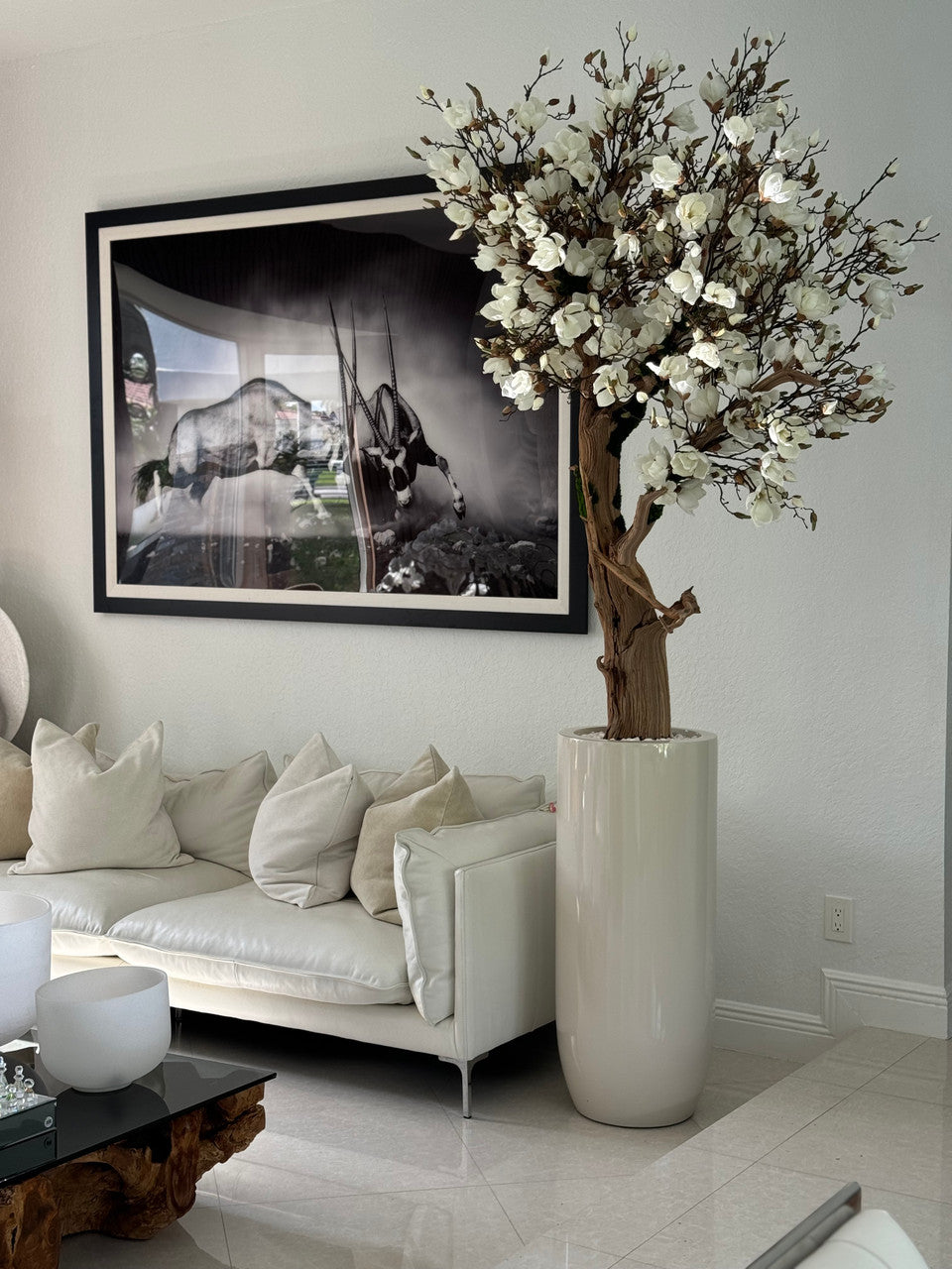 Brillant Beige St. Tropez Pot avec Personnalisé Made Magnolia Arbre