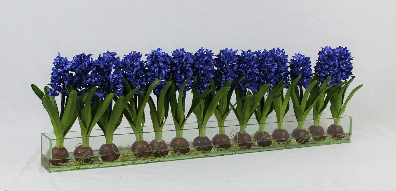 122 Cm Casa Moderna Pot Plateau en Verre avec Bleu Jacinthes