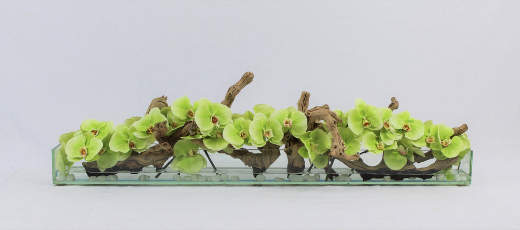 122 Cm Casa Moderna Pot Plateau en Verre avec Vert Orchidées Phalaenopsis