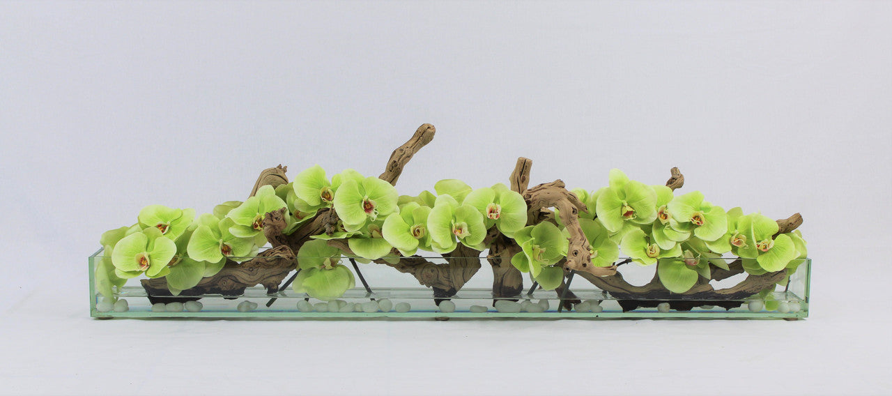 122 Cm Casa Moderna Pot Plateau en Verre avec Vert Orchidées Phalaenopsis