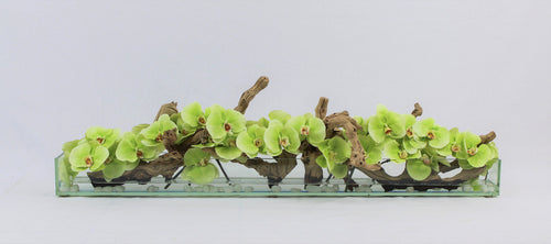 122 Cm Casa Moderna Pot Plateau en Verre avec Vert Orchidées Phalaenopsis