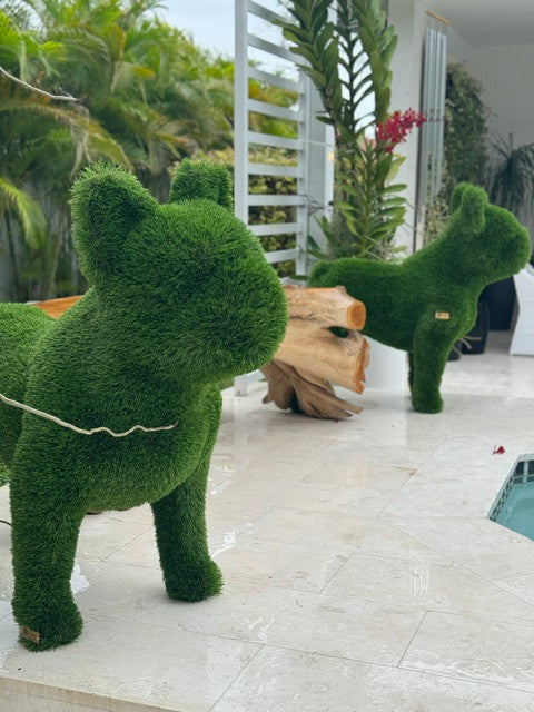 Bouledogue Français (Tête Inclinée)