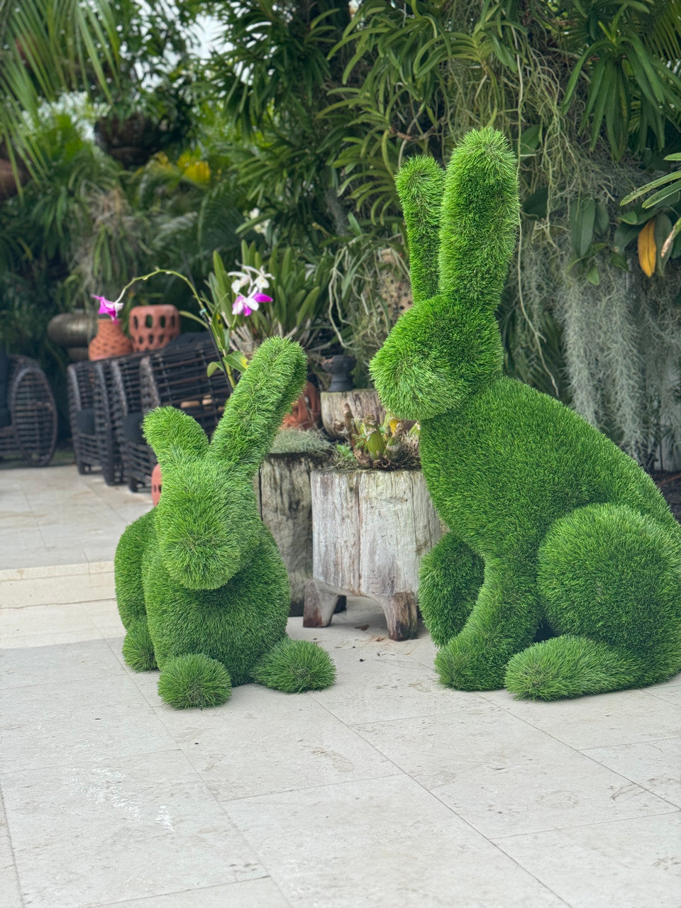 Lapin Couché