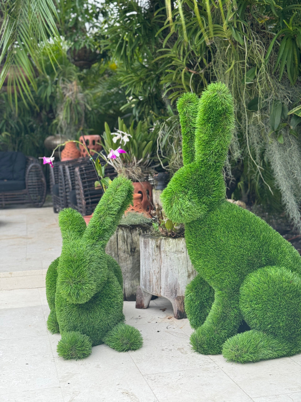 Lapin Couché