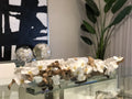 91 Cm Casa Moderna Pot Plateau en Verre avec Blanc Orchidées Phalaenopsis
