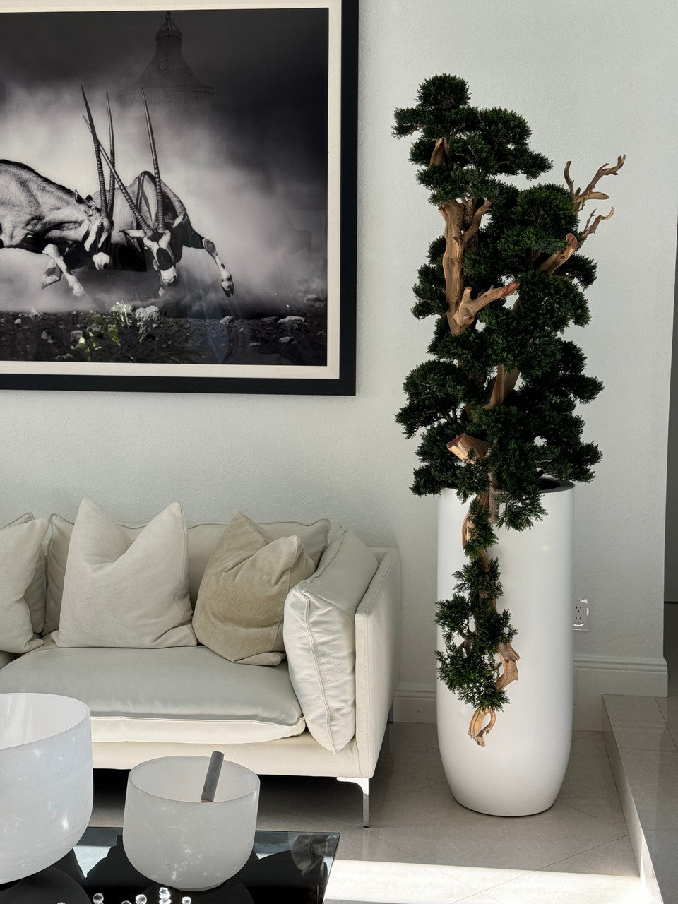 Bonsaï en Blanc Mat Saint Tropez Pot