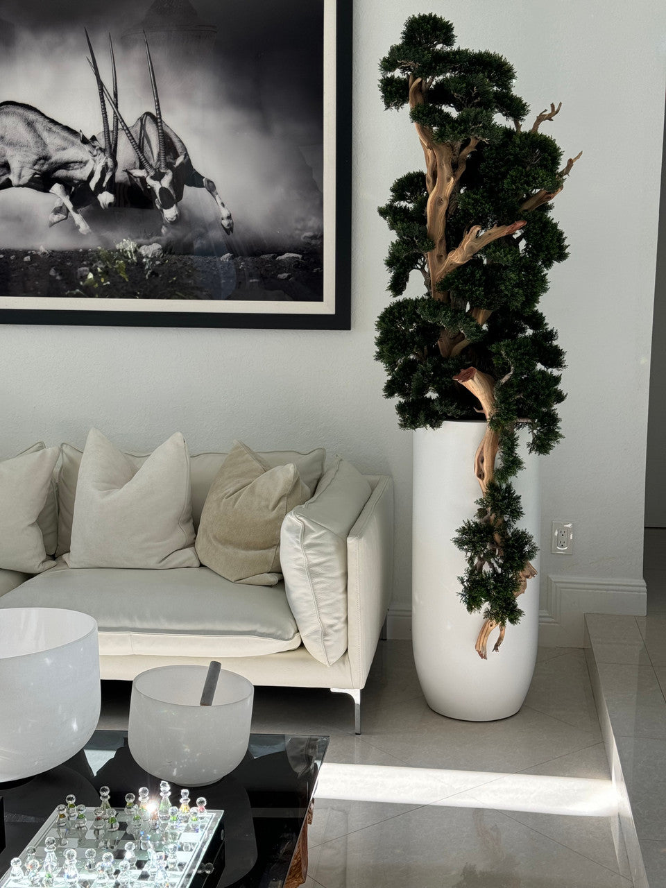 Bonsaï en Blanc Mat Saint Tropez Pot
