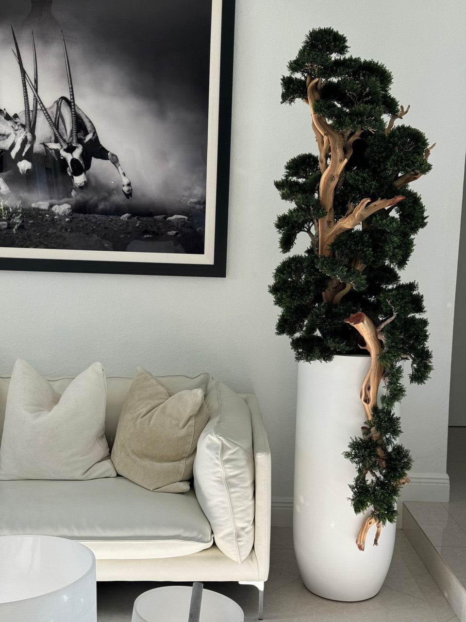 Bonsaï en Blanc Mat Saint Tropez Pot