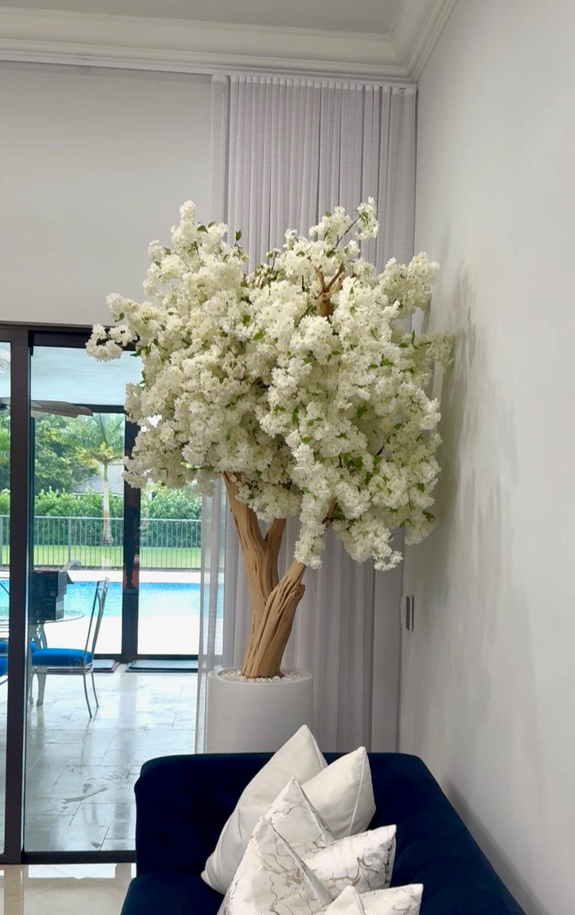 Blanc Mat St. Tropez Pot avec Personnalisé Made Blanc Fleurs de Cerisier Arbre