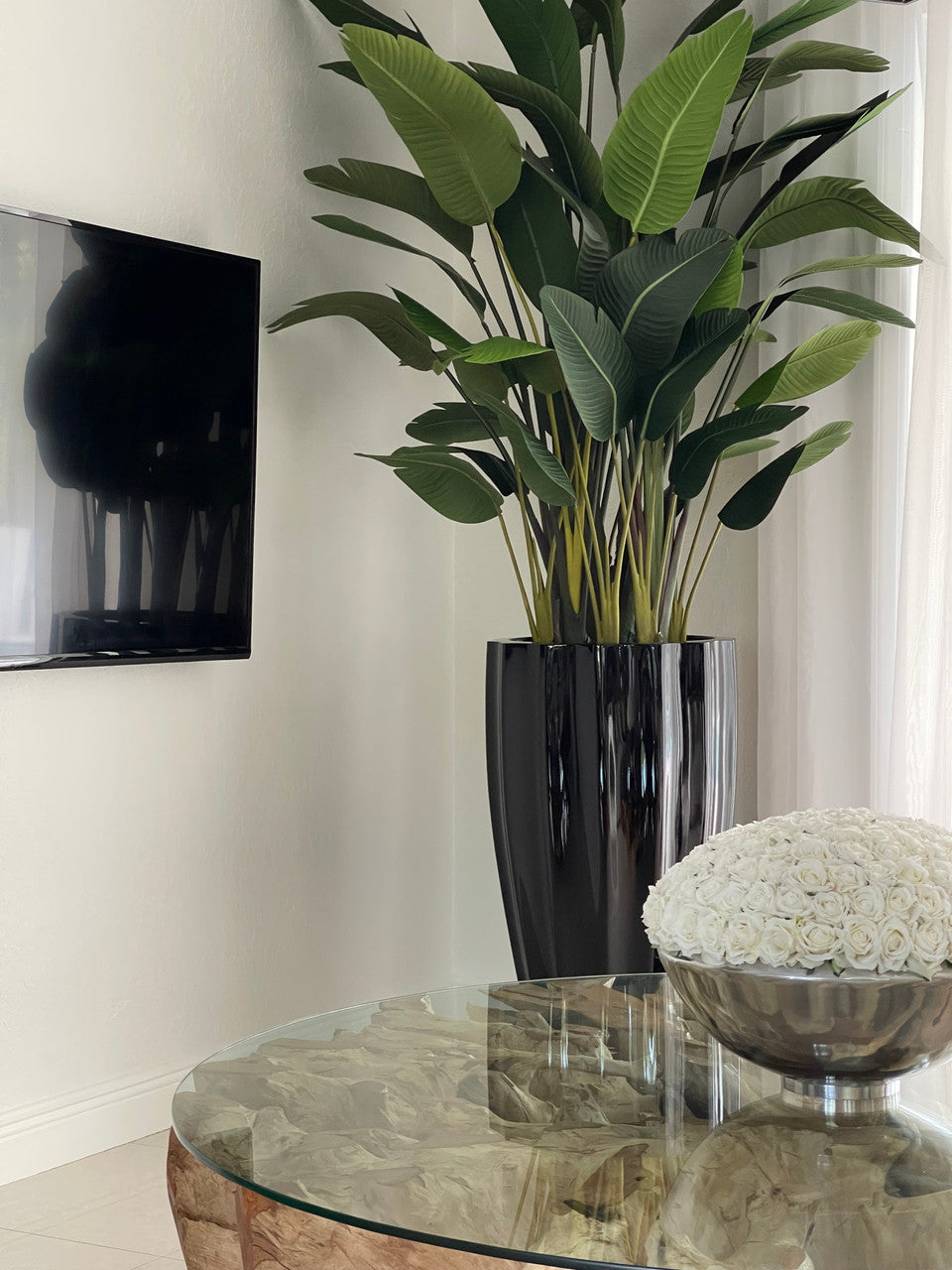 San Jose Fluted Pot en Noir Brillant avec Birds de Paradise