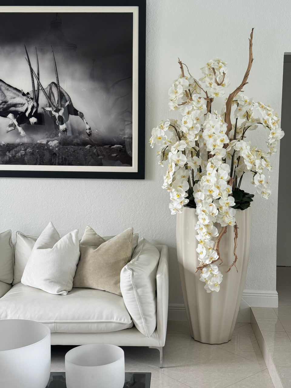 San Jose Pot en Sand Beige avec Cascading Blanc Orchidées