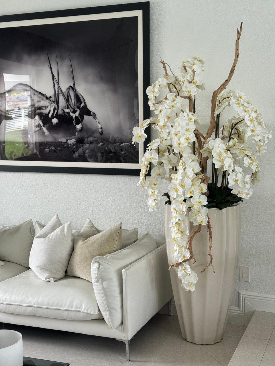 San Jose Pot en Sand Beige avec Cascading Blanc Orchidées