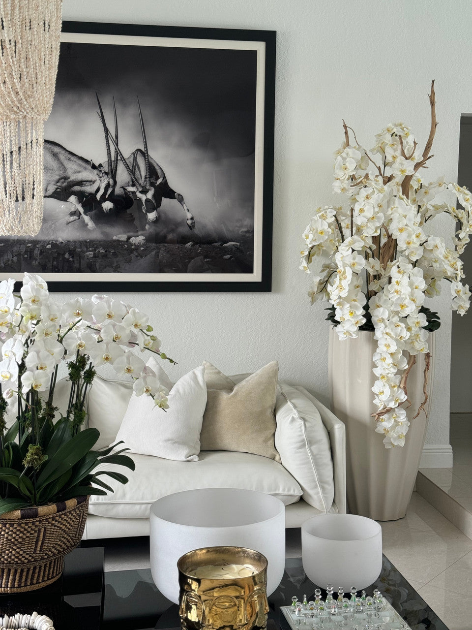 San Jose Pot en Sand Beige avec Cascading Blanc Orchidées