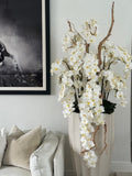 San Jose Pot en Sand Beige avec Cascading Blanc Orchidées