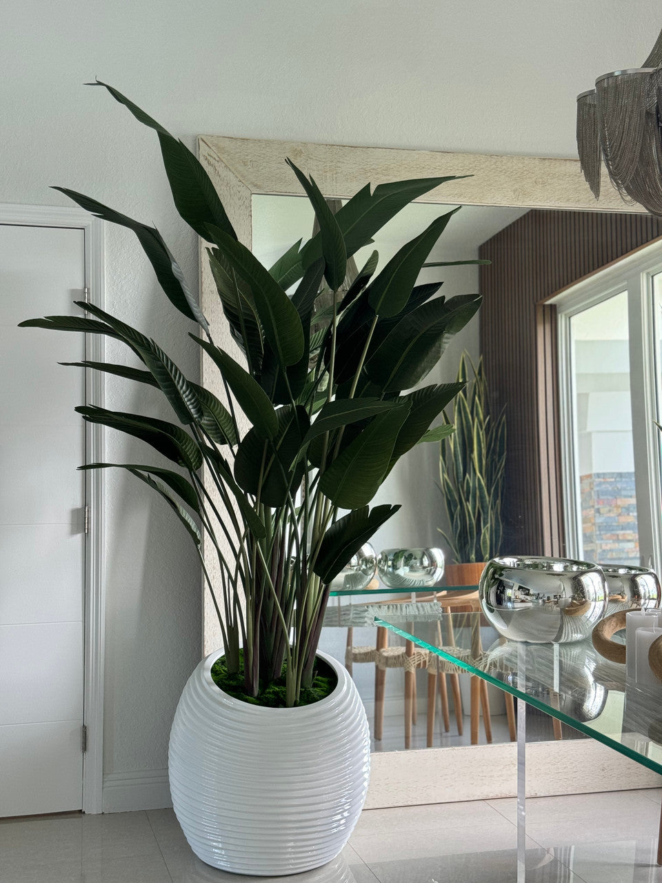 Oiseau de Paradis en Blanc Spiral Pot