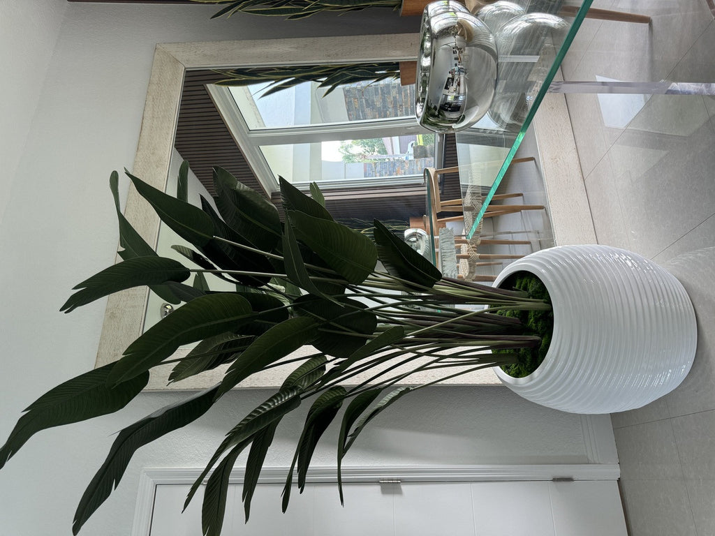 Oiseau de Paradis en Blanc Spiral Pot