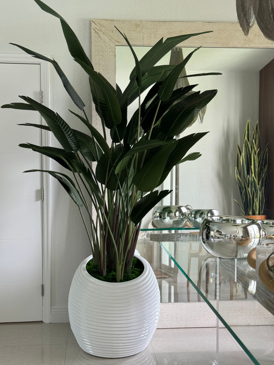 Oiseau de Paradis en Blanc Spiral Pot