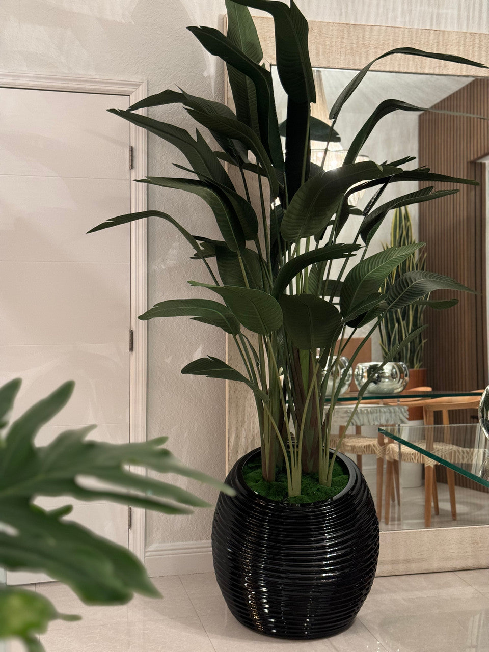 Oiseau de Paradis en Noir Spiral Pot