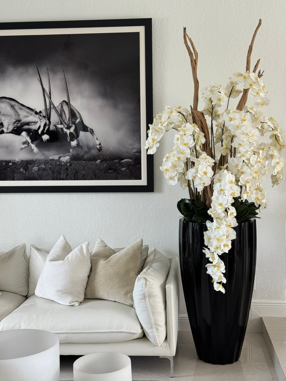 San Jose Pot en Noir Brillant avec Cascading Blanc Orchidées