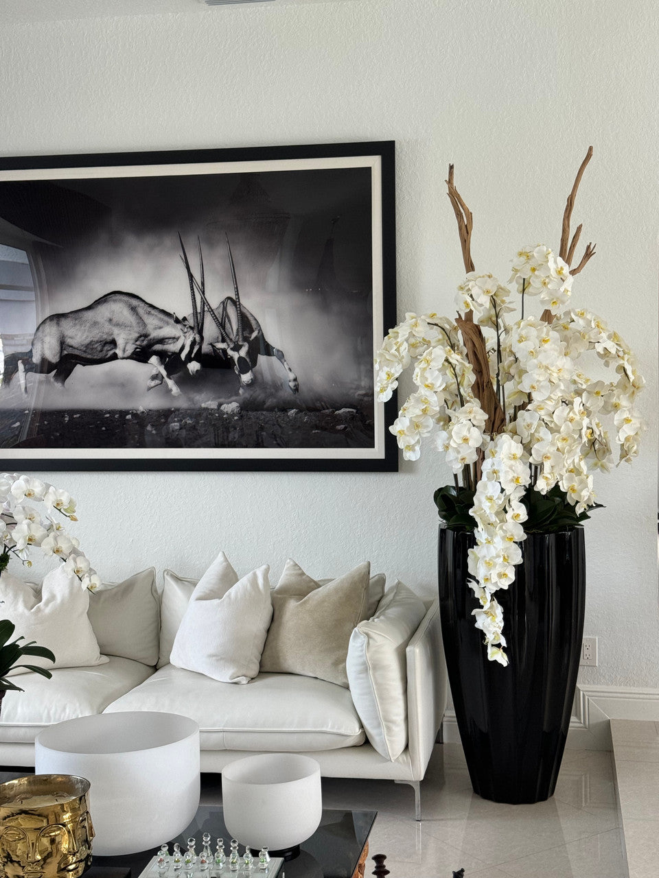 San Jose Pot en Noir Brillant avec Cascading Blanc Orchidées