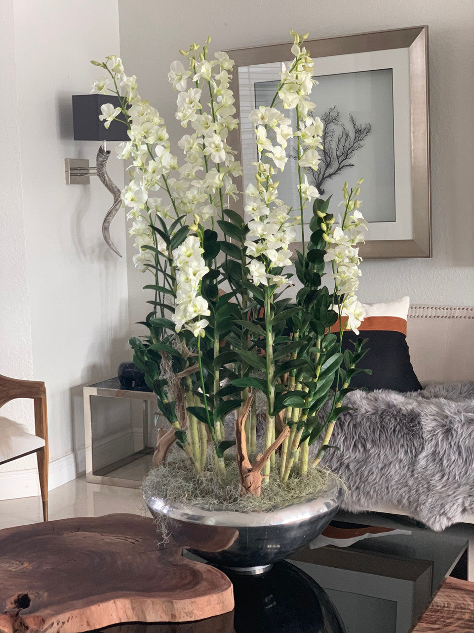 Avenue Pot avec Orchidées Dendrobium
