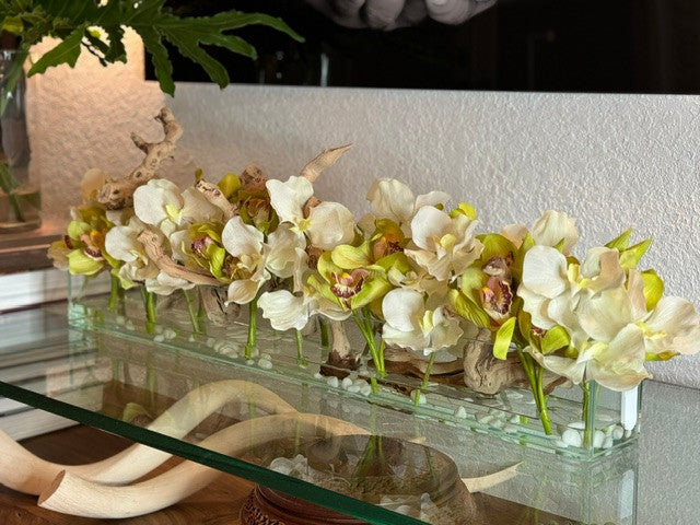 Casa Moderna avec Blanc Vandas et Vert Cymbidiums