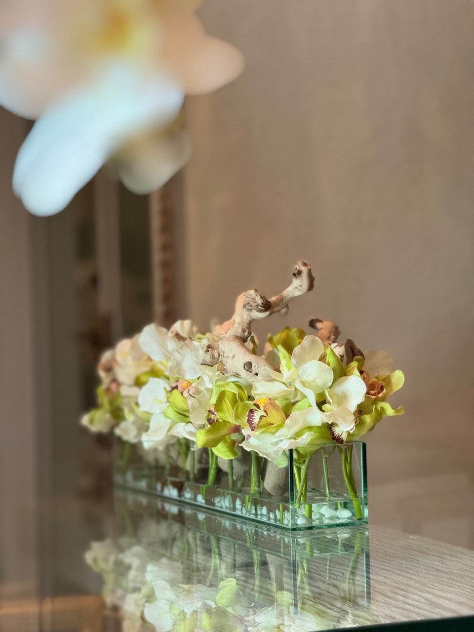 Casa Moderna avec Blanc Vandas et Vert Cymbidiums
