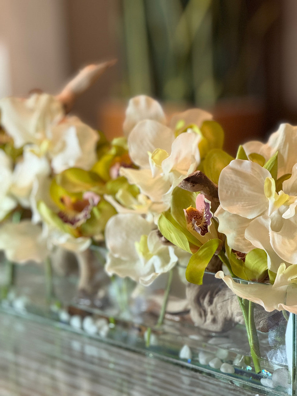 Casa Moderna avec Blanc Vandas et Vert Cymbidiums