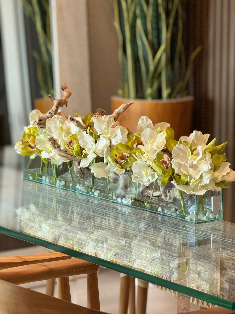 Casa Moderna avec Blanc Vandas et Vert Cymbidiums