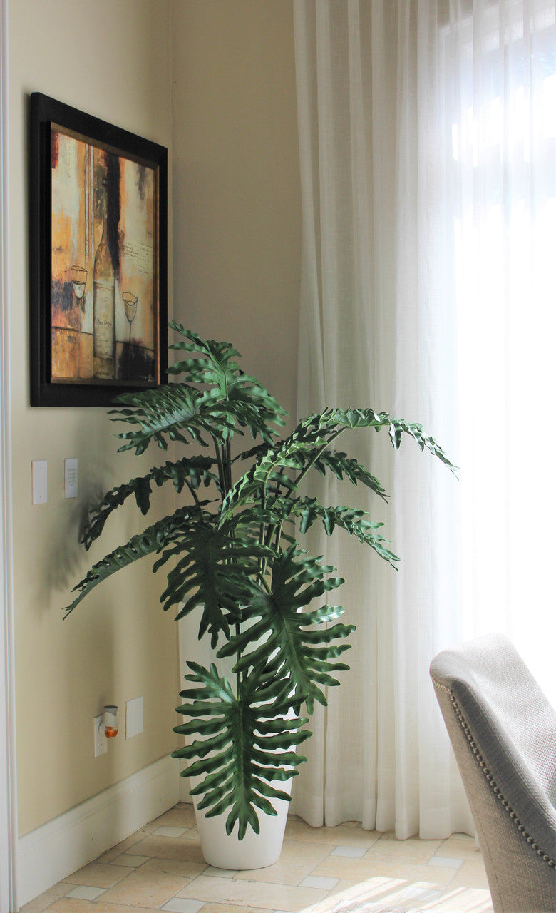 Monstera Feuillage en Dax L Pot