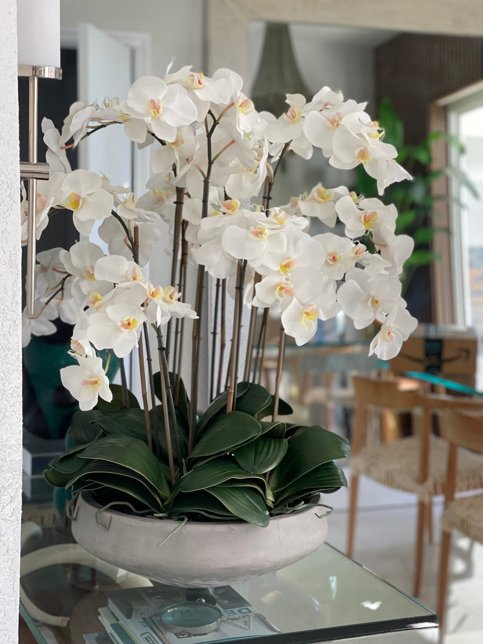 Blanc Orchidées en Coupe Newport