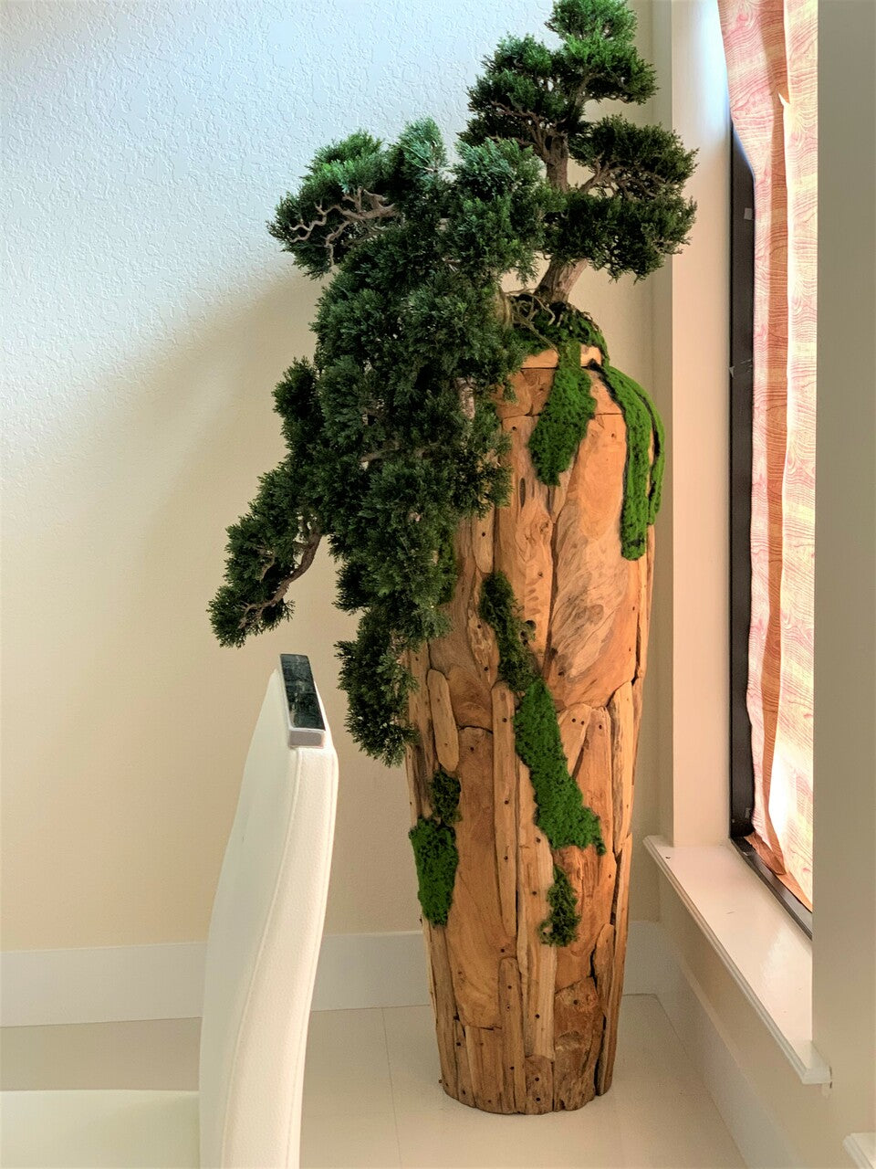 Très Grand Trailing Cedar Bonsaï sur One-de-A-Kind Teak Pot