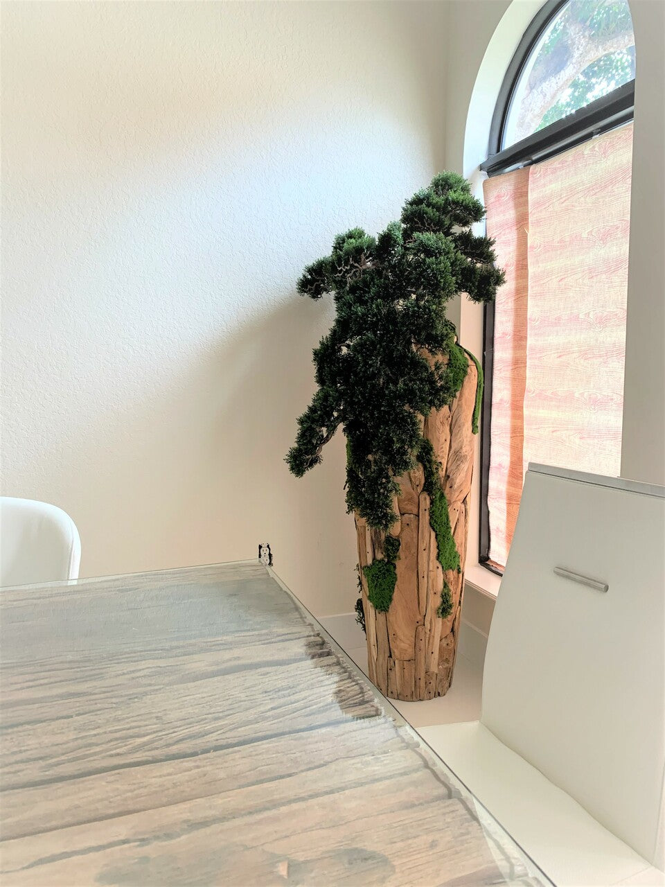 Très Grand Trailing Cedar Bonsaï sur One-de-A-Kind Teak Pot