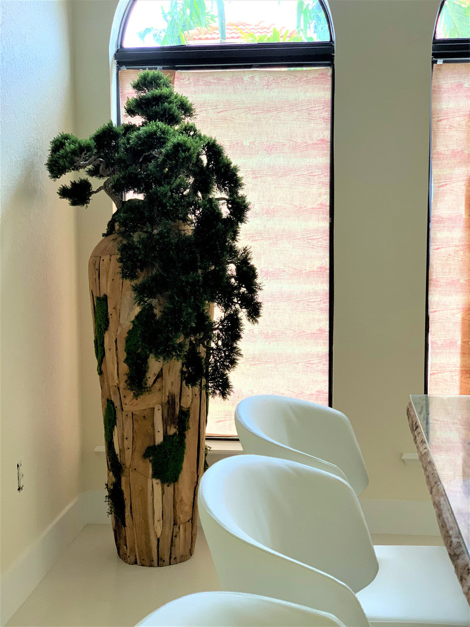 Très Grand Trailing Cedar Bonsaï sur One-de-A-Kind Teak Pot