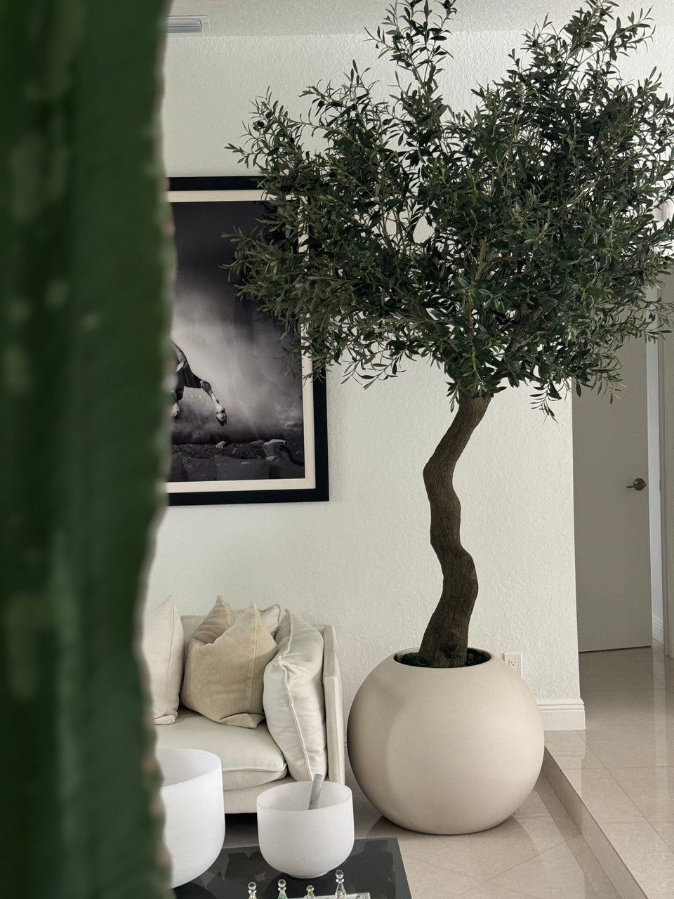 18 Cm Olivier en Mat Beige 76 Cm Pot Globe