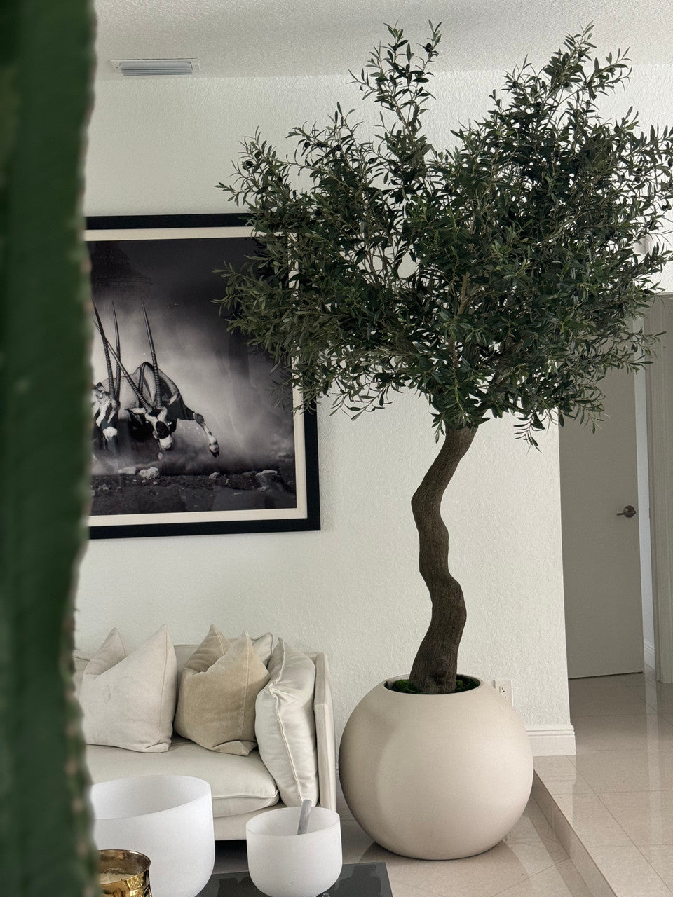 18 Cm Olivier en Mat Beige 76 Cm Pot Globe