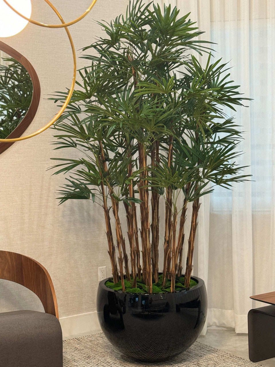Noir Terragona Pot avec Palmier Rhapis