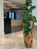 Grand Trailing Cedar Bonsaï sur One-de-A-Kind Teak Pot