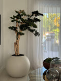 Trailing Bonsaï en 76 Cm Satin Beige Globe