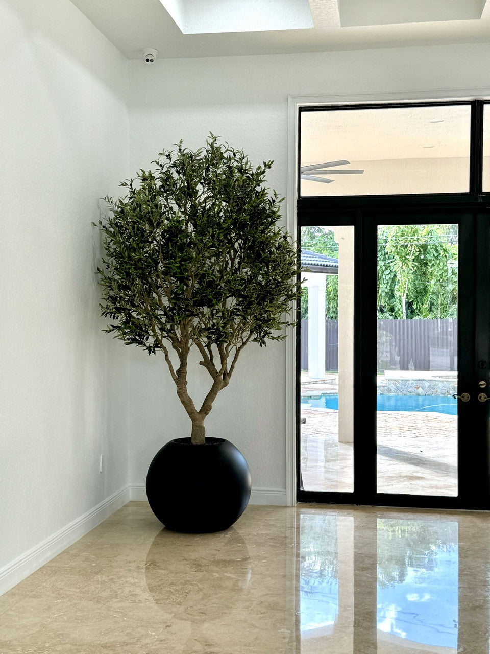 Olivier en Noir Mat 76 Cm Pot Globe