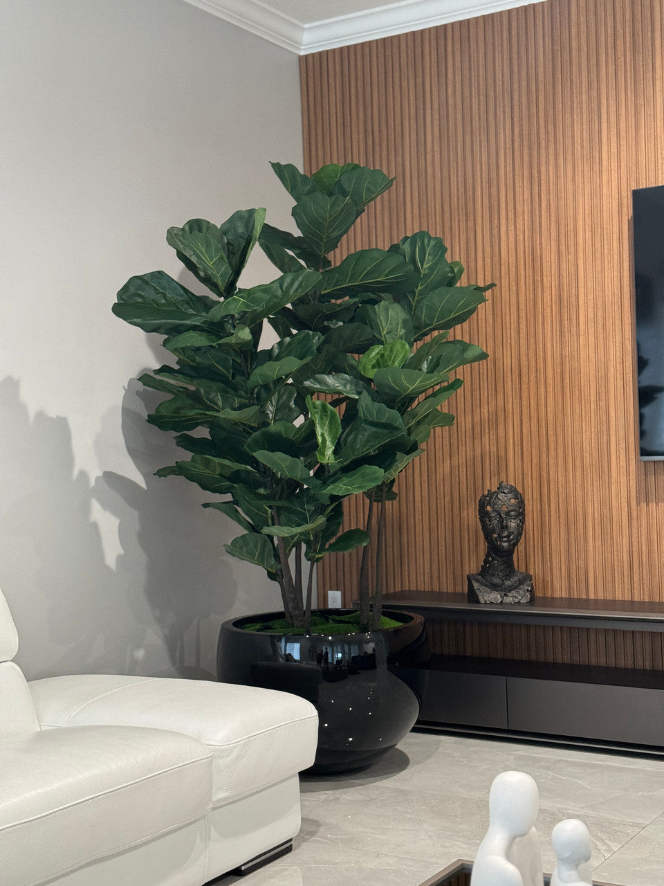 Noir Terragona Pot avec Figuier Lyre Arbre