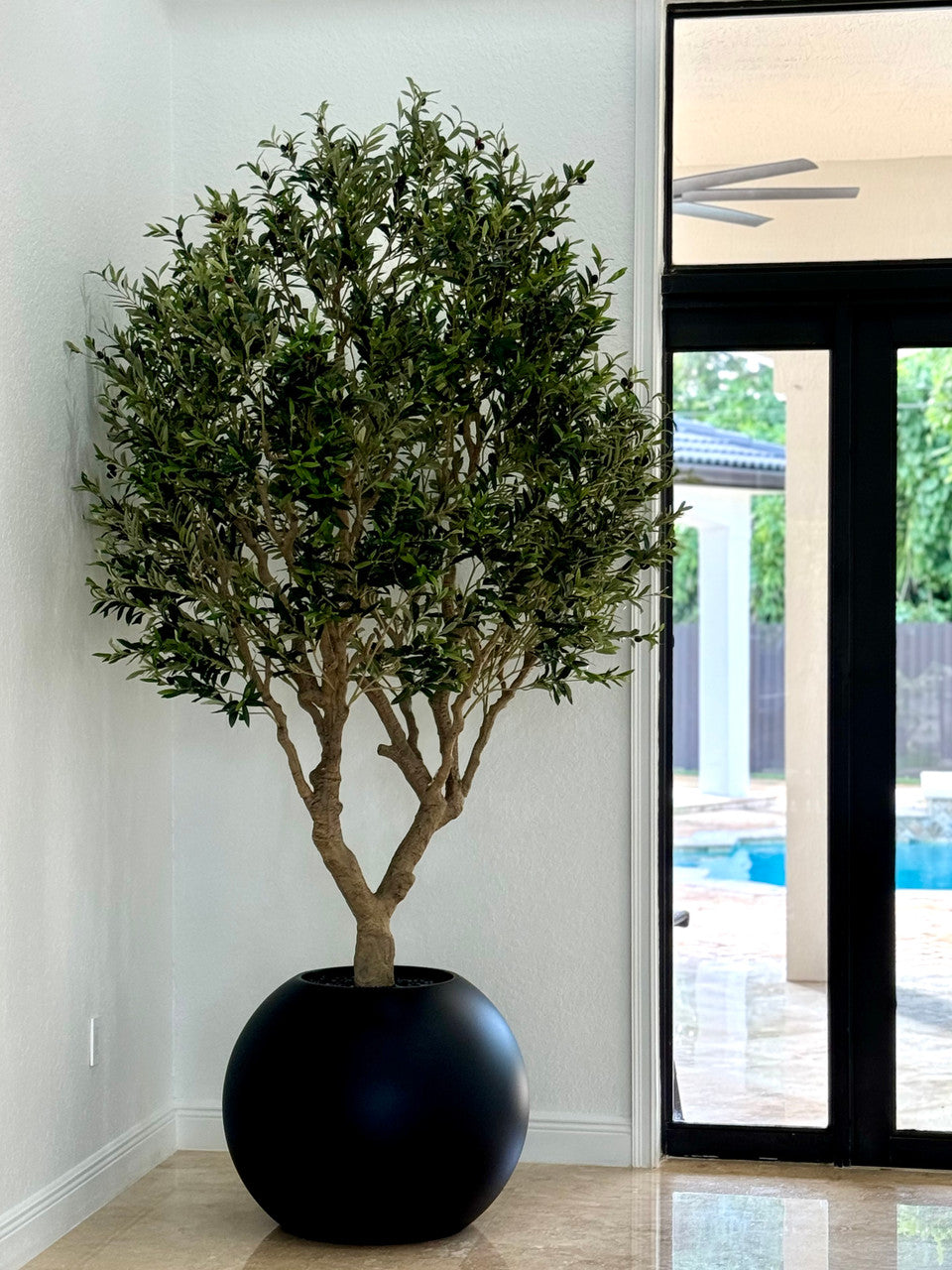 Olivier en Noir Mat 76 Cm Pot Globe