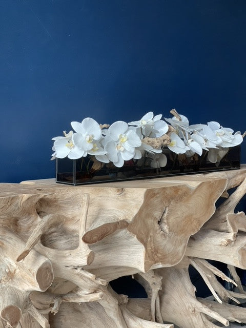 122 Cm Casa Moderna Noir Tinted Pot Plateau en Verre avec Blanc Orchidées Phalaenopsis