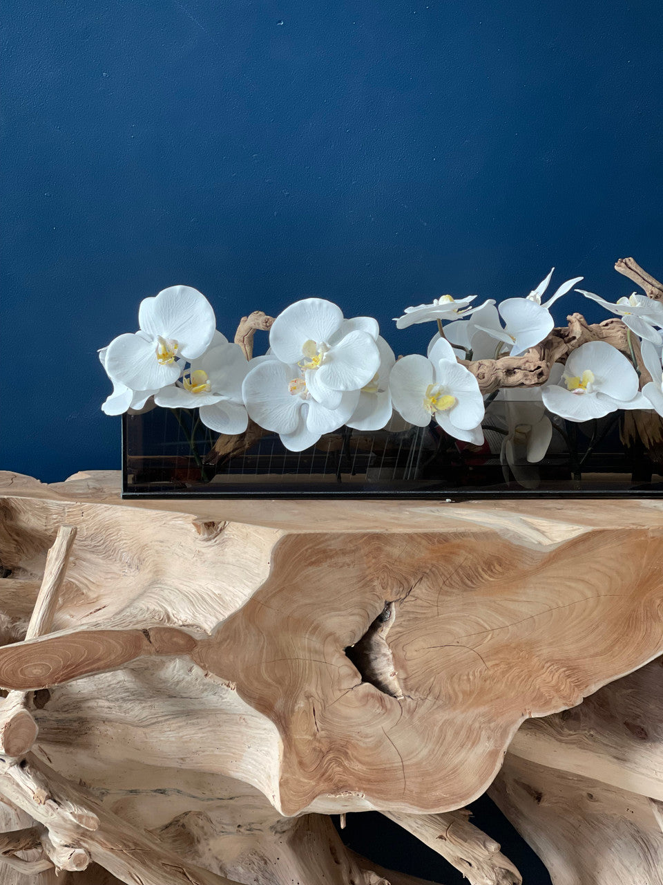 122 Cm Casa Moderna Noir Tinted Pot Plateau en Verre avec Blanc Orchidées Phalaenopsis