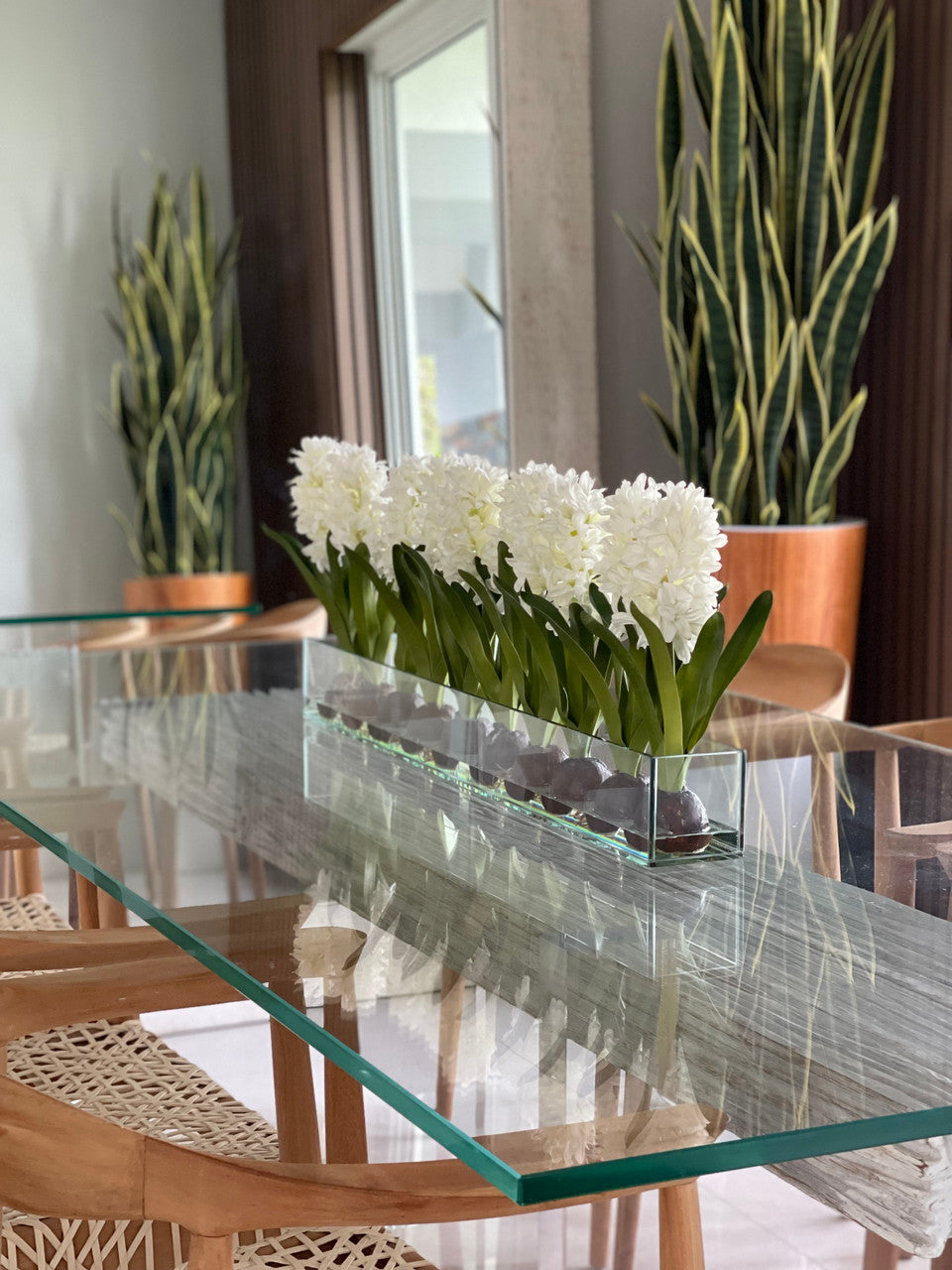 91 Cm Casa Moderna Pot Plateau en Verre avec Blanc Jacinthes